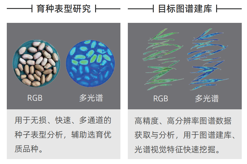 图6-1.png