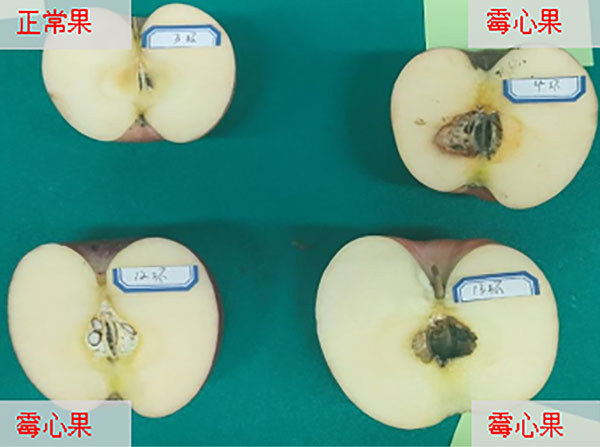 上传图片5.jpg
