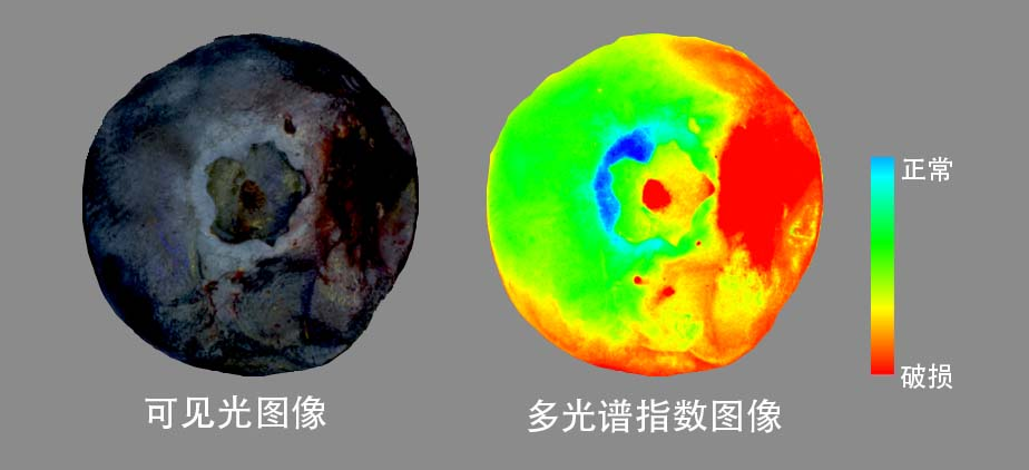 图片10.png