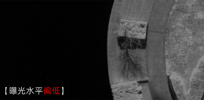 11-1素材.png