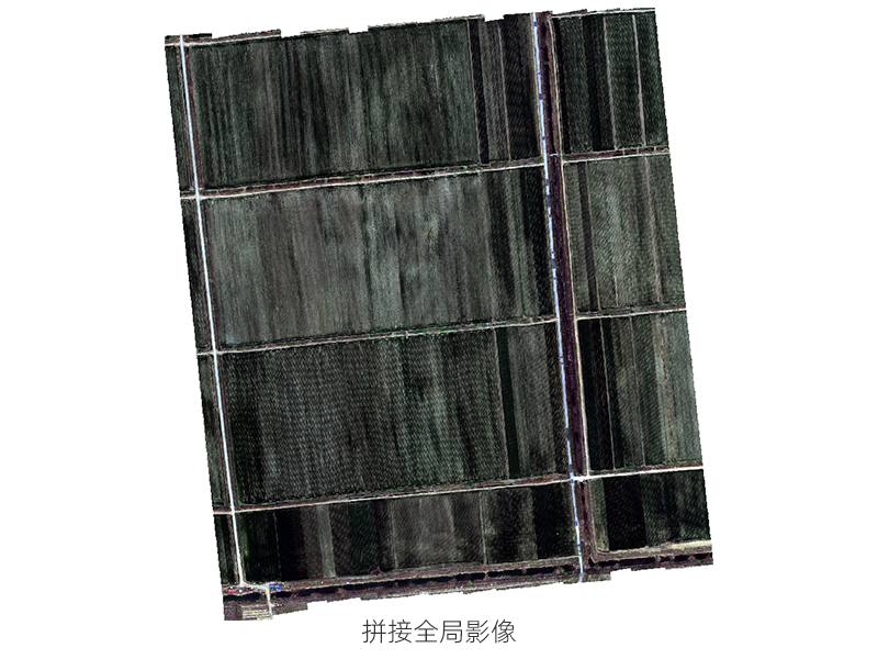 图7.png